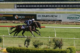 203 heats will be filmed and timed over 200m at Te Rapa over two days.